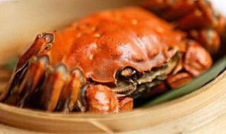煮螃蟹的做法（煮螃蟹的做法视频）