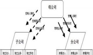 分公司与子公司的区别（成立分公司的好处和弊端）
