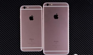 苹果6和苹果6plus的区别在哪里 iphone 6和iphone 6plus的区别
