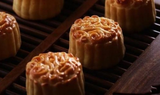 月饼莲蓉馅的做法 月饼莲蓉馅的做法和配方