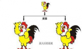 位图和矢量图的区别 位图和矢量图的区别是:位图放大不失真,矢量图放大失真