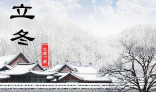 立冬和冬至的区别有哪些（立冬和冬至的区别有哪些图片）