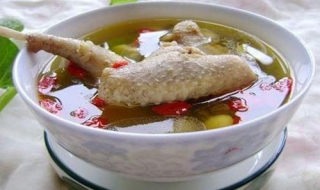 孕妇鸽子汤的做法 孕妇鸽子汤的做法大全
