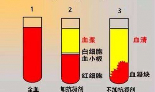 血浆和血清的区别 d二聚体血浆和血清的区别