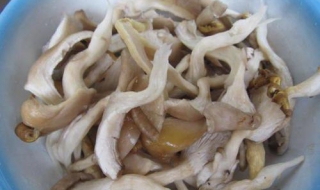 平菇的做法 平菇的做法大全素炒菜