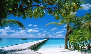 海南游注意事项（海南旅游注意哪些事项）