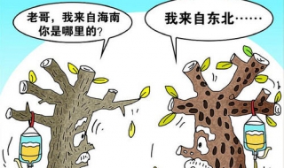 水土不服怎么办（水土不服怎么办什么方法最有效）