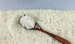 大米生虫子怎么办（怎么防止大米生虫子怎么办）