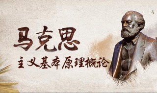 学习马克思主义原理概论心得体会