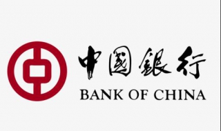 中国银行网上银行怎么登录 中国银行网上银行怎么登录不了