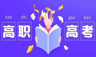高职高考加分项有哪些（高职高考政策）