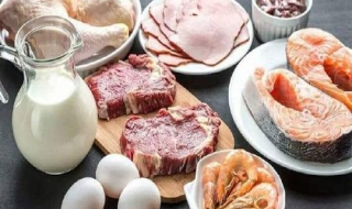 蛋白质与免疫系统 蛋白质与免疫系统的关系图