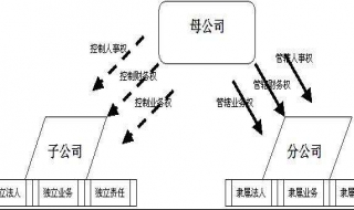 分公司和子公司有什么区别 分公司和子公司一样吗