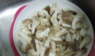 凤尾菇汤的做法 凤尾菇汤的做法大全