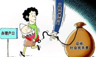 社会抚养费征收和程序 社会抚养费具体的征收标准和管理办法