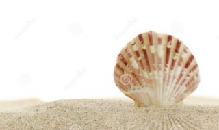 海沙与河沙的区别有哪些 海沙与河沙的区别有哪些呢