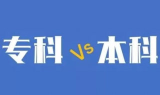 本科与专科的区别是什么（本科与专科的区别是什么呢）