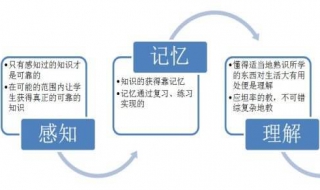 比的认识的学习过程（比的认识的知识点）