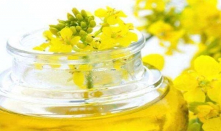 转基因菜籽油大行其道 转基因的菜籽油能吃吗为什么还生产
