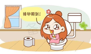 排卵期怎么算，什么时候是排卵期 排卵期怎么算排卵期有几天
