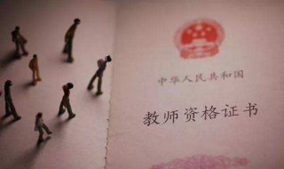 中小学教师资格证考试网（中小学教师资格证考试网站）