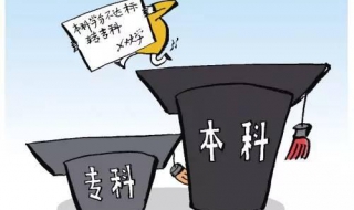 本科和专科的区别有哪些（本科和专科有什么区别通俗易懂）