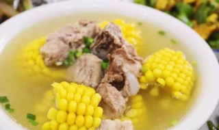营养排骨汤做法（营养排骨汤做法视频）