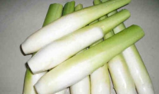 茭白的做法大全 牛肉茭白的做法大全