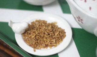 糙米茶的做法（糙米茶的做法窍门）