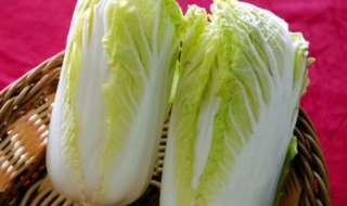 大白菜的做法大全（大白菜的做法大全家常炒菜）