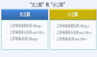 大三阳和小三阳区别（大三阳和小三阳区别哪个会传染）