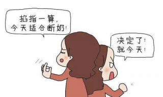 断奶注意事项 灰鹦鹉断奶注意事项