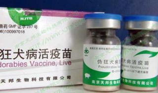 狂犬疫苗有效期 狂犬疫苗有效期是多久
