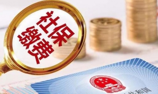 就业社保、职工社保（职工社保和灵活就业保险有什么区别）