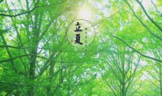 立夏为什么要吃蛋，立夏适合吃什么
