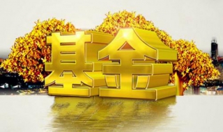利用基金评价选基金（利用基金评价选基金怎么选）
