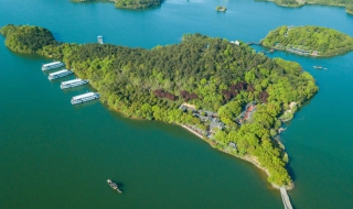 天目湖砂锅鱼头 溧阳天目湖砂锅鱼头