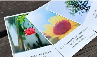 怎样用明信片 怎样用明信片做立牌