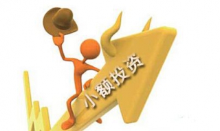 小额投资理财产品（小额投资的理财产品）