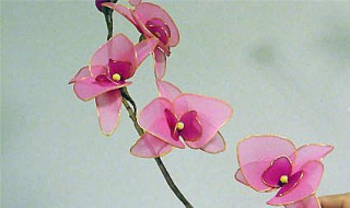 丝袜花的做法（丝袜花的做法 玫瑰）