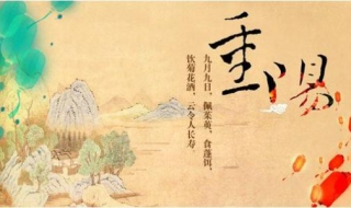重阳节的祝福语（重阳节的祝福语150字）