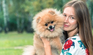 适合家养的小型犬 十大适合家养的小型犬