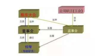 执行董事与非执行董事的区别（执行董事与非执行董事的区别在哪）