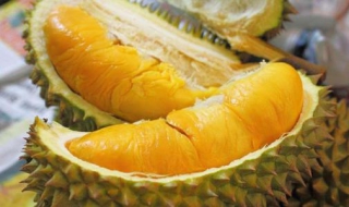 怎样画榴莲和榴莲肉呢（怎样画榴莲和榴莲肉呢）
