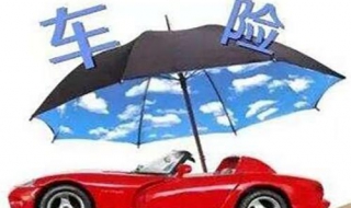 车险续保注意事项有哪些（车险续保注意事项有哪些呢）