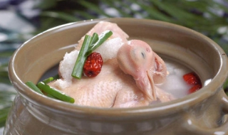 鸽子的做法有哪些 鸽子做法好吃