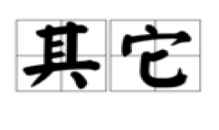 其他与其它的区别 其他其它的区别与联系