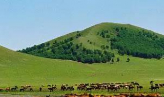 内蒙古有什么好玩的地方（内蒙有什么好玩的旅游景点）