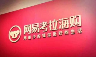 网易考拉如何联系在线客服 网易考拉如何联系在线客服人工