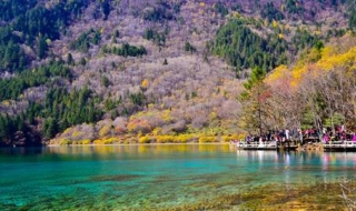 11月适合去哪里旅游 11月适合去哪里旅游7天左右